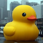 黃色小鴨：從裝置藝術到行為藝術