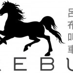 批uber一年心得：難得撥雲能見日，孤臣無力以回天
